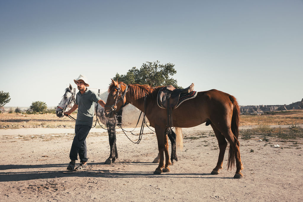 Cappadocië_Horses-05