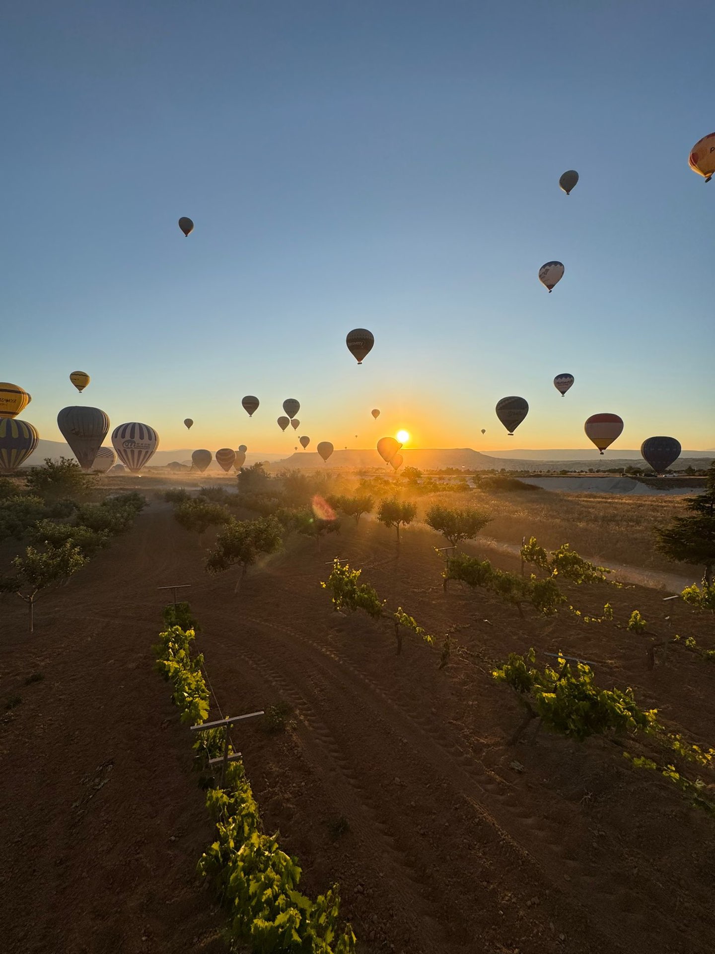 Cappadocië_balloontocht2