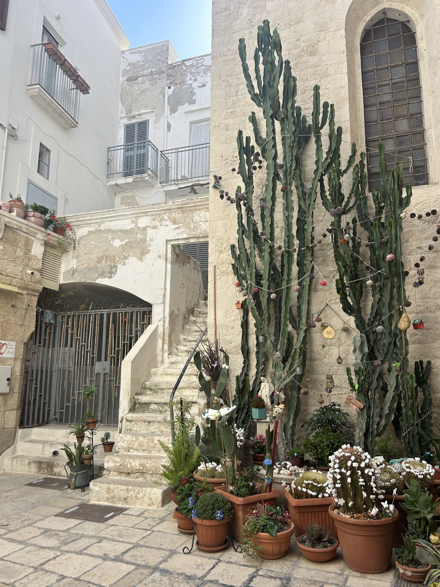 Puglia_IMG_1465